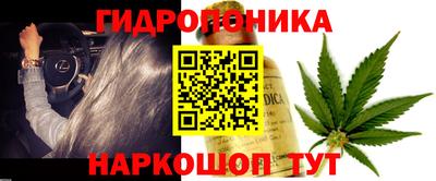 ешки Заволжье