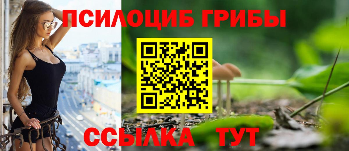 Лыткарино  Псилоцибиновые грибы Psilocybine cubensis  Вход с VPN 