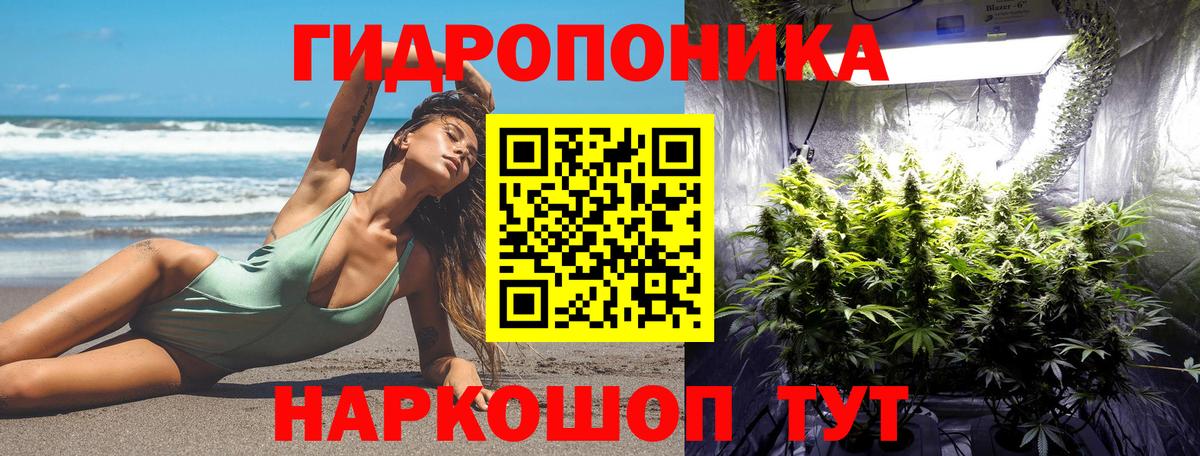 Бошки Шишки индика  Бошки марихуана план  Вход с VPN  Канабис планчик  Лыткарино  Бошки Шишки ГИДРОПОН 